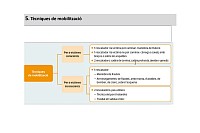 Tècniques de mobilització