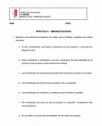 Immobilitzacions